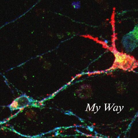 My Way