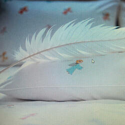 The Feather
