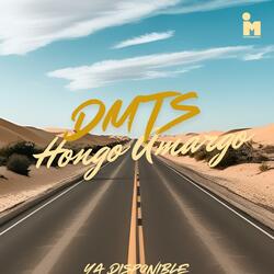 Hongo Amargo (DMTS (S22 Sesiones)