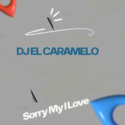 Sorry My I Love