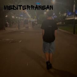 Mediterranean