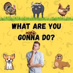 What Are You Gonna Do?