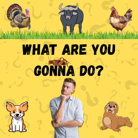 What Are You Gonna Do?