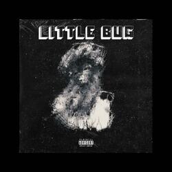 Little bug