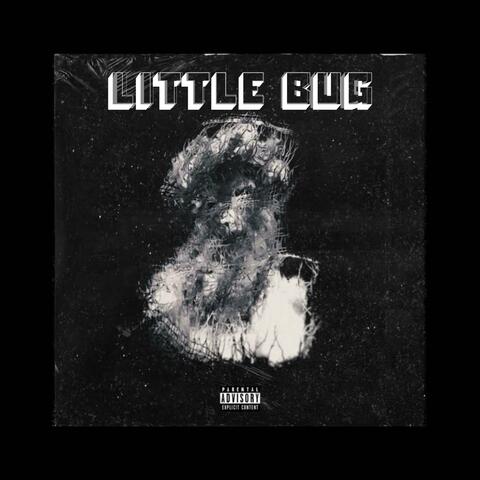 Little bug