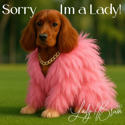 Sorry, I'm A Lady!