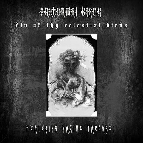Din of Thy Celestial Birds (feat. Maxime Taccardi)