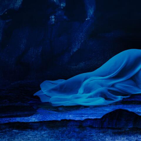 corps baleine
