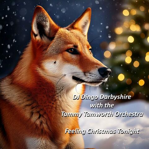 Feeling Christmas Tonight