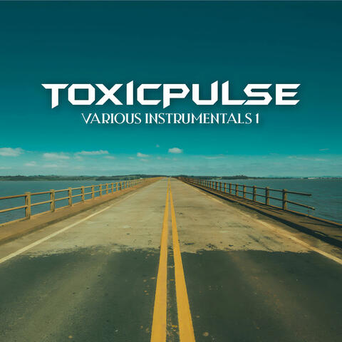 Various Instrumentals 1