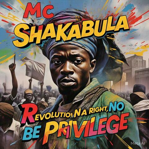 Revolution Na Right (No Be Privilege)