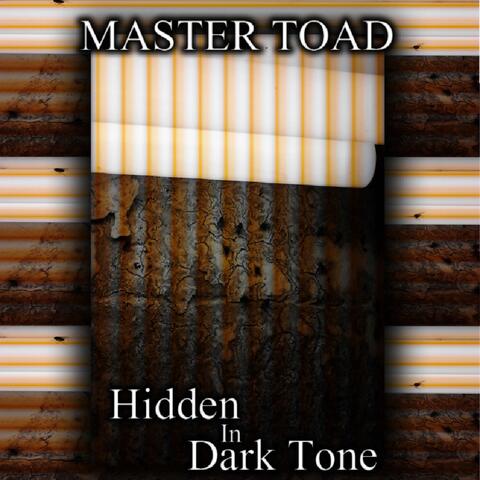 Hidden in Dark Tone