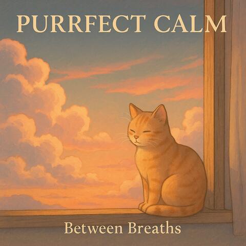 Purrfect Calm