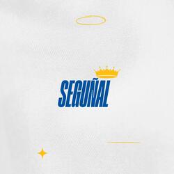 SEGUÑAL