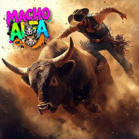 MACHO ALFA