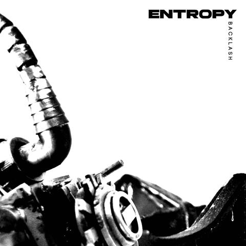 Entropy