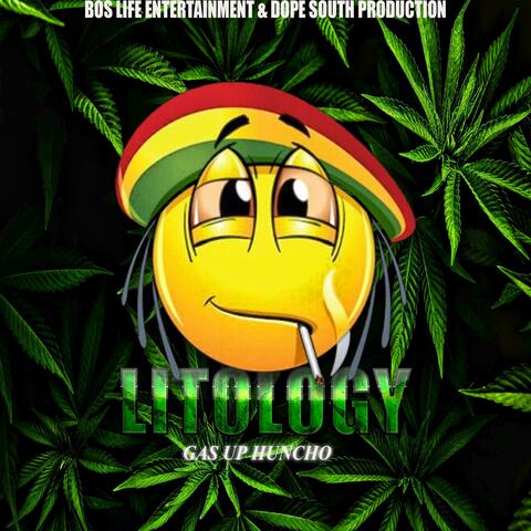 Litology, Vol. 1