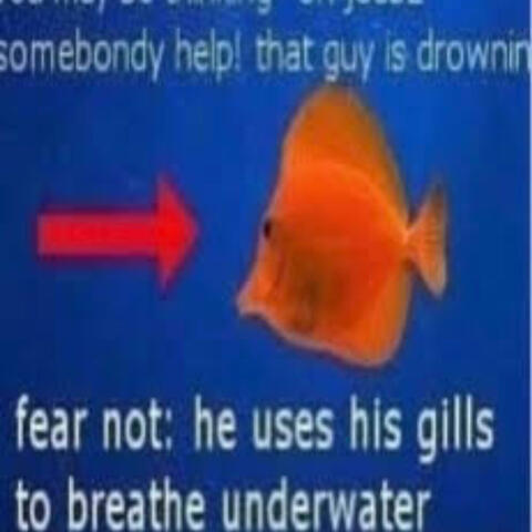 (im a) fish