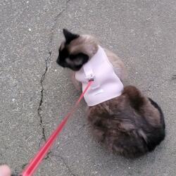 Surrender to the light