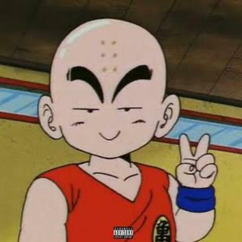 Krillin
