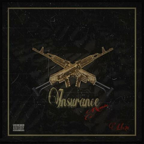 Insurance