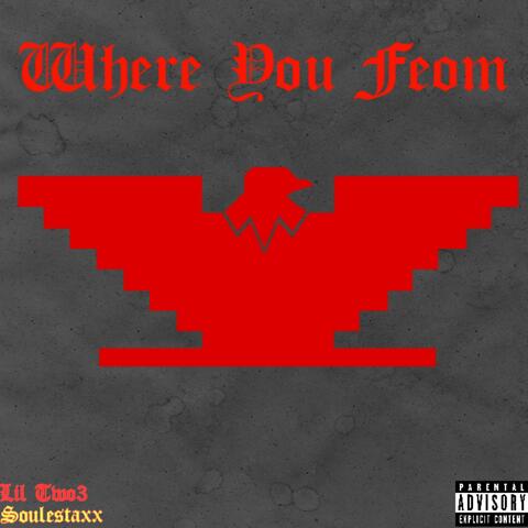 Where You From (feat. soulestaxx)