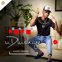 WAWULAHLA UMLENZE (feat. UMJOLISI)