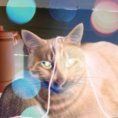 What happened to me?