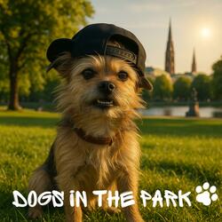 Dogs in the park