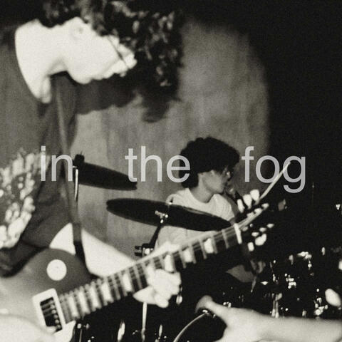 In the Fog