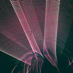 counting down the days