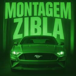 MONTAGEM ZIBLA