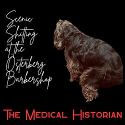 Scenic Shitting at the Österberg Barbershop