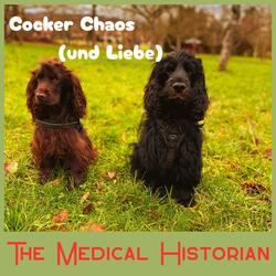 Cocker Chaos (und Liebe)