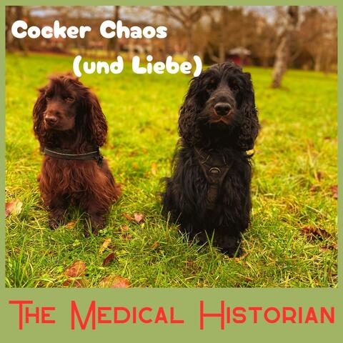 Cocker Chaos (und Liebe)