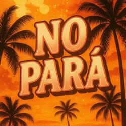 NO PARA (Sped Up)
