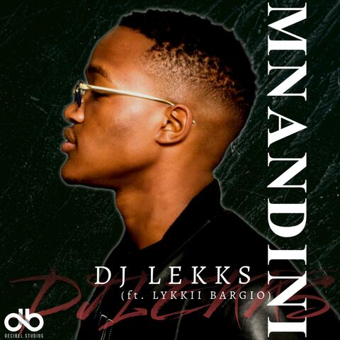 Mnandini (feat. Lykkll Bargio)
