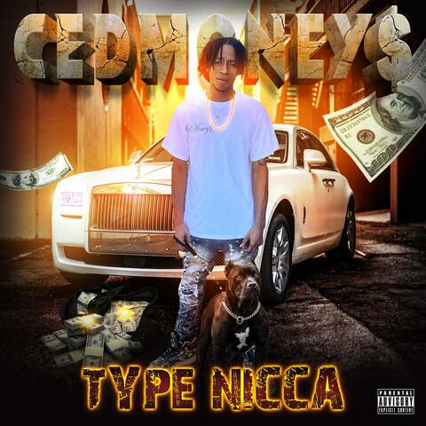 Type Nicca