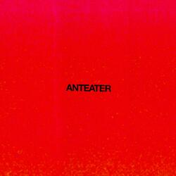 Anteater