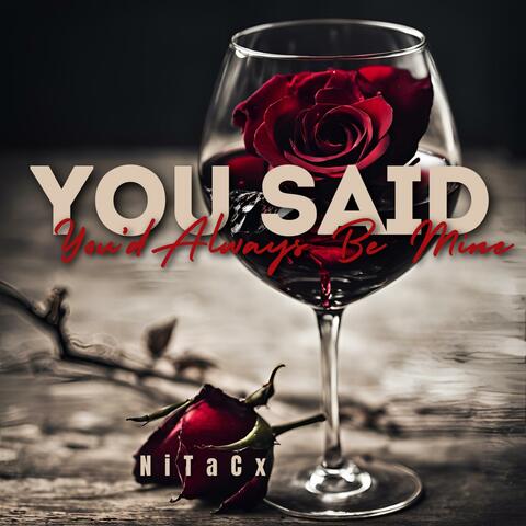 You Said You'd Always Be Mine