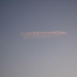 Thousand Island Dressing