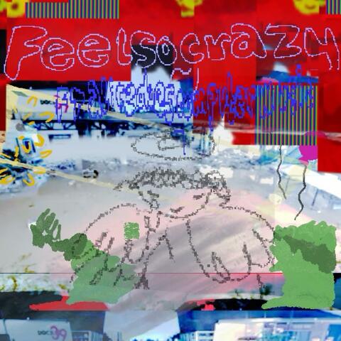 feel so crazy