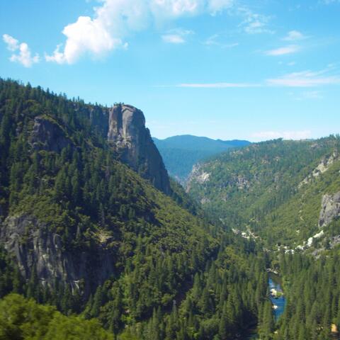 Wonder Away