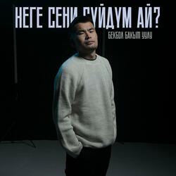 Неге сени сүйдүм ай?