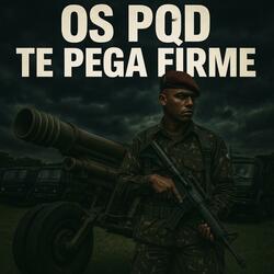 OS PQD TE PEGA FIRME vs PQD E MELHOR QUE NAVAL (Mc Luizinho Remix)