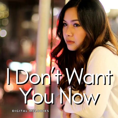 I Don't Want You Now
