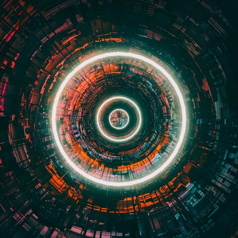 Rollercoaster (feat. Black Dust)