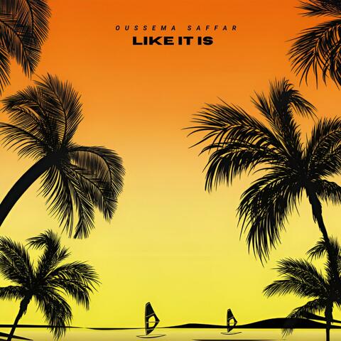 Like It Is (Original Mix)