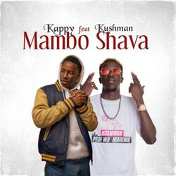 Mambo Shava (feat. Kushman)