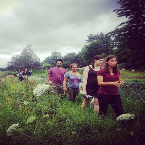 Living on a farm (feat. Adamah friendz)